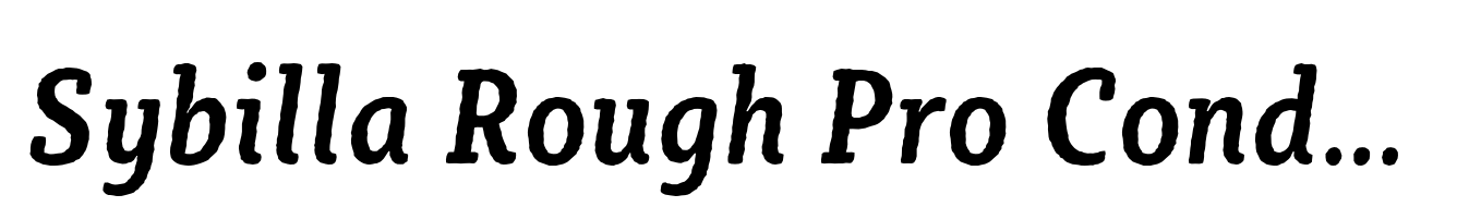 Sybilla Rough Pro Condensed Medium Italic
